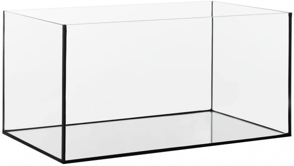 Best Fish Tanks Tools Guidance